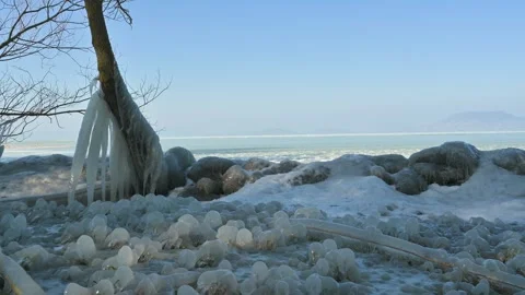 Frozen tree and bushes by icy lake Balaton shore with rare iceballs Video stock 326321660