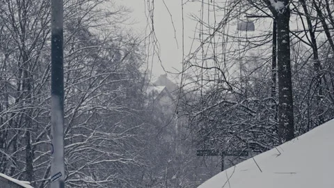 Frozen Tree and Lamp Pole Silhouettes in the Snow. Version 2 Видео 300065870