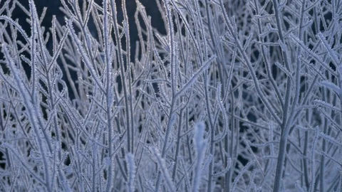 Frozen tree branches at sunrise. Winter concept. 4K, UHD 스톡 동영상 97971565