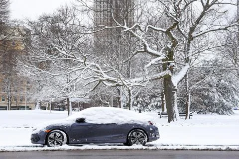 Frozen tree during winter season Фото