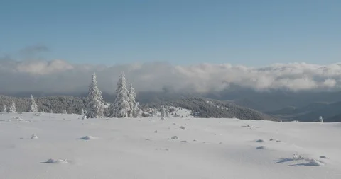 Frozen tree in hoarfrost in the winter mountain landscape Stock Footage 102024032