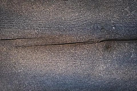 Frozen tree with ice crystals and crack. Stock Photos