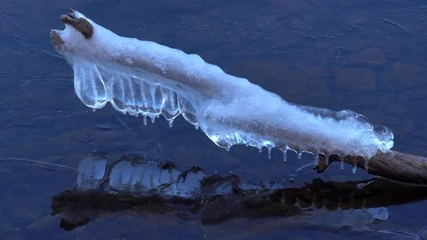 Frozen tree in a lake, Japan Stock Footage 89835528