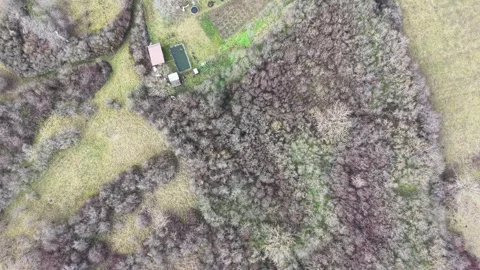 Frozen Trees and Rural Fields Top Down Aerial Romania 스톡 동영상 329557811