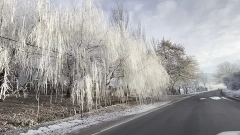 Frozen trees, Armenia in Winter Stock Footage 146961617