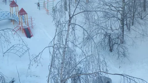 Frozen trees birches covered snow in winter time on the street and playground. Stock Footage 158929007