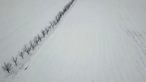 Frozen trees covered with snow, Aerial View Stock Footage 87003645
