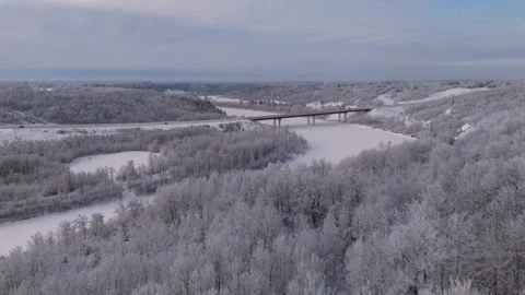 Frozen Trees In Devon Alberta River Valley In Winter Stock Footage 330882267