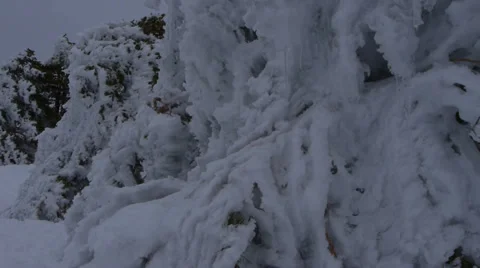 Frozen trees Stock Footage 35600964