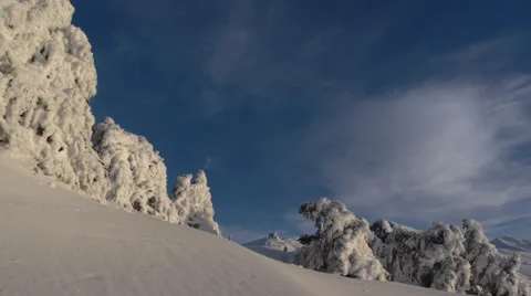 Frozen trees Stock Footage 35660925