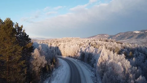 Frozen Trees Stockbeeldmateriaal 129607196