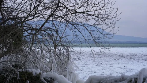 Frozen trees by the lake - harsh winter in Europe Stock Footage 97164725