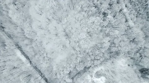 Frozen trees in mountains. Winter landscape. Drone Footage Stock Footage 233163068