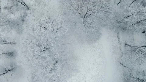 Frozen trees in mountains. Winter landscape. Drone Footage Stock Footage 233163112