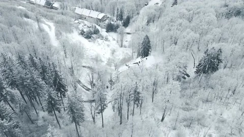 Frozen trees in mountains. Winter landscape. Drone Footage Stock Footage 233163932