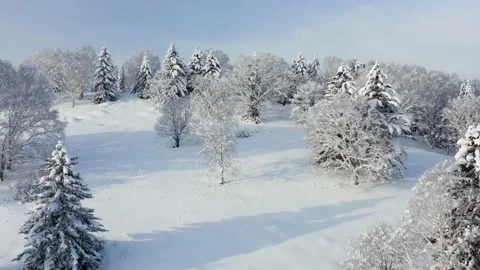 The frozen trees at the top of the mountain are covered with white snow. Stock-Footage 169553872