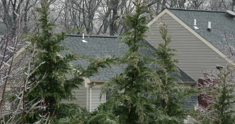 Frozen trees in a winter garden covered in sparkling icicles Video stock 153530185