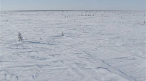 Frozen Tundra Stock Footage 38165912