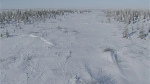 Frozen Tundra Stock Footage 38167771