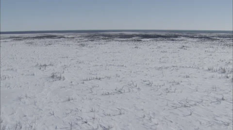 Frozen Tundra Stock Footage 38168450