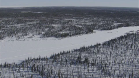 Frozen Tundra Stock Footage 38168939