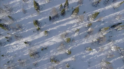 Frozen Tundra Stock Footage 38174944