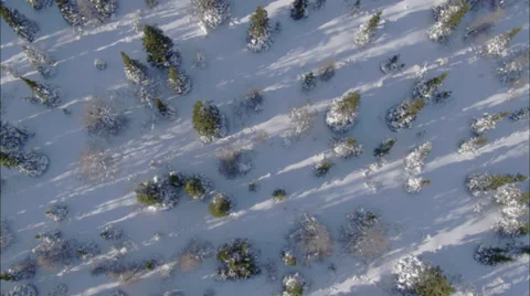 Frozen Tundra Stock Footage 38174995