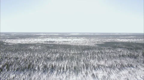 Frozen Tundra Stock Footage 38175375