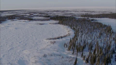 Frozen Tundra Stock Footage 41617409