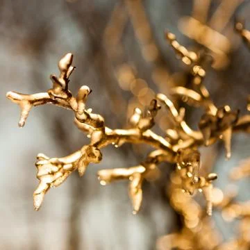 Frozen twig background - gold version 스톡 사진