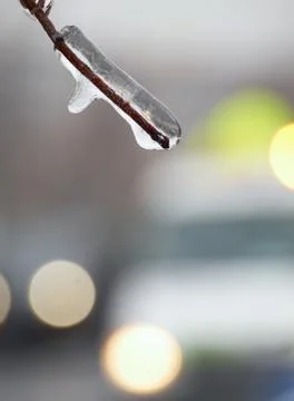 Frozen twig with car Stock Photos