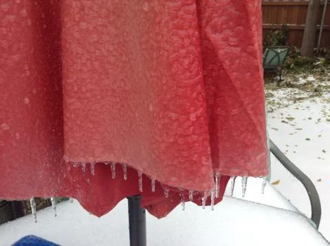 Frozen umbrella 写真素材