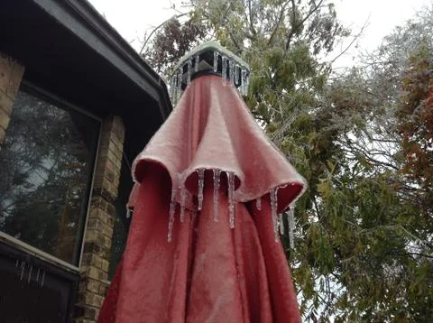 Frozen umbrella 写真素材