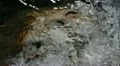 Frozen Water Broken Ice Surface Icy Pattern Frost Background Christmas Holiday HD Footage