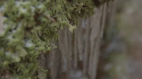 Frozen water dripping into icicles  Stock Footage 146266795