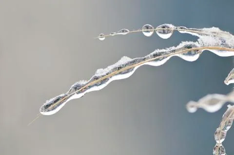 Frozen water drops Stock Photos