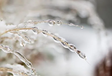 Frozen water drops Stock Photos