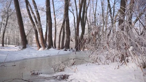 Frozen Water Flow in Forest Видео 71798426