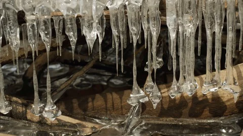Frozen Water Icicles Froming on Fallen Tree Stockbeeldmateriaal 104890622