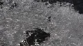 Frozen Water Natural Background Fairy Tale Ice Flowers Frost Pattern Icy Texture HD Footage