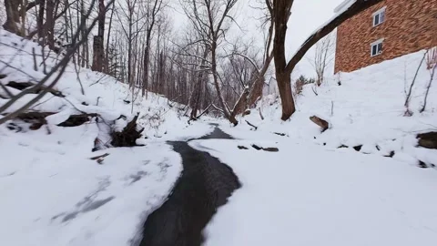 Frozen water stream in snowy forest park Stock Footage 323339368