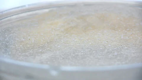 Frozen Water Surface Close Up Timelapse Background Stock Footage 227904944