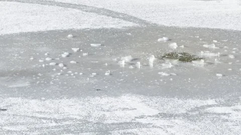 A frozen water surface with cracks and patches of ice Video stock 302972046
