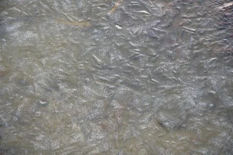 Frozen water surface of the reservoir, the texture of the ice coating.Cold snap. 写真素材