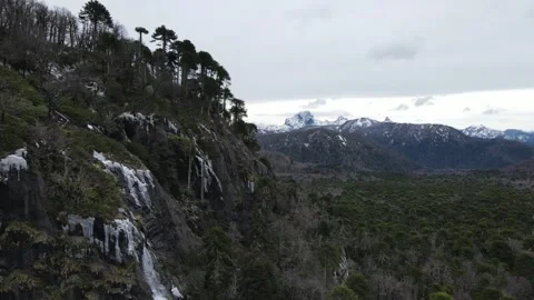 Frozen waterfall in ancient forest Stock Footage 156302229