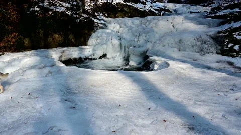 Frozen waterfall and dog exploring the ice 스톡 동영상 233373959