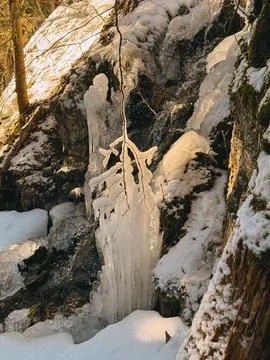 Frozen waterfall cascading down mossy rocks in winter forest Stock Photos