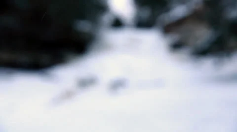 Frozen waterfall rack focus in Stock-Footage 37229247