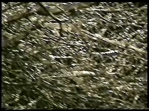 Frozen Web Stock Footage 340542360