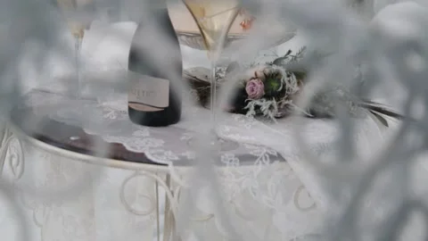 Frozen wedding Stock-Footage 152834018